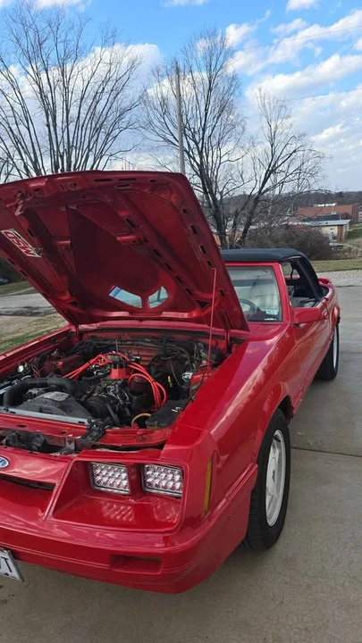 1983 Ford Mustang 3rd Gen - Image 14 of 14