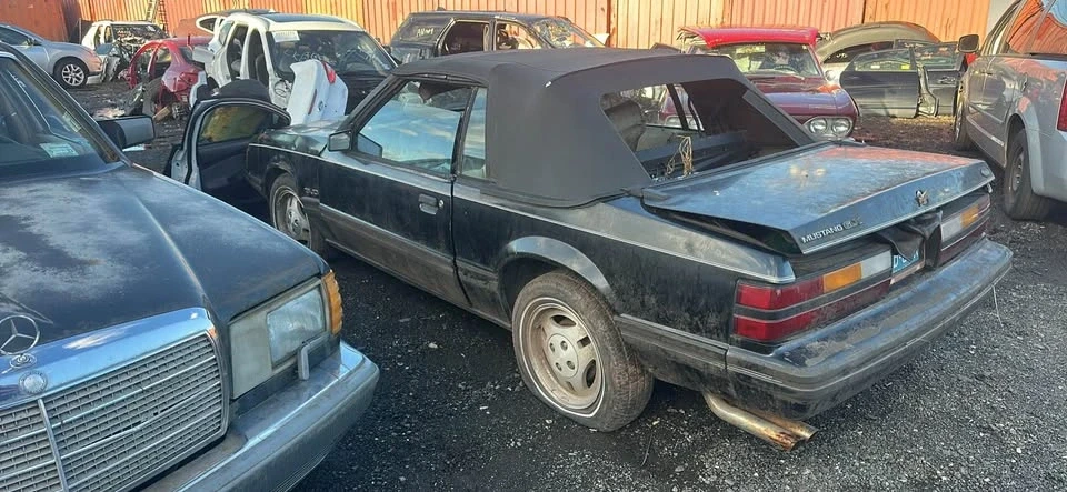 1983 Ford Mustang 3rd Gen - Image 2 of 8