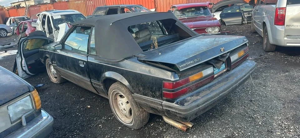 1983 Ford Mustang 3rd Gen - Image 8 of 8