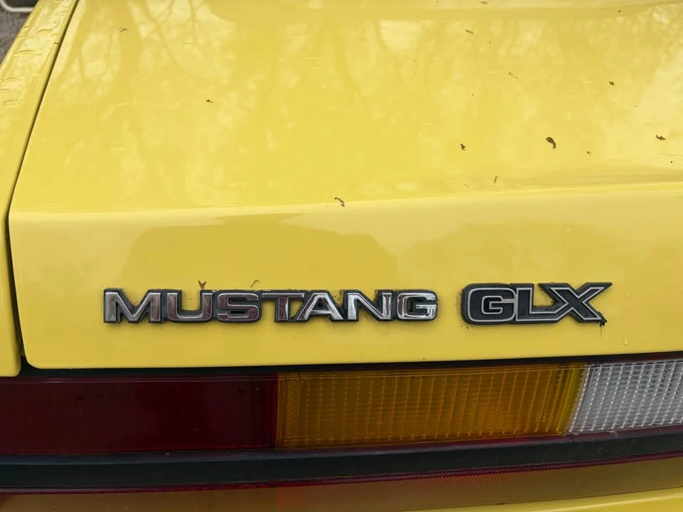 1983 Ford Mustang 3rd Gen - Image 5 of 19