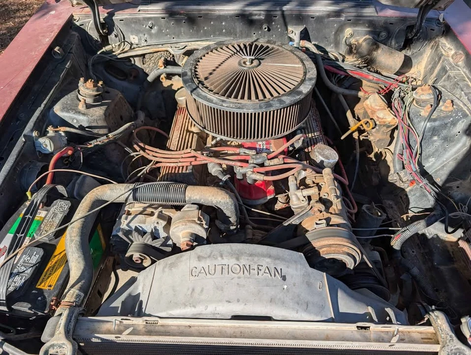 1983 Ford Mustang GT 3rd Gen - Image 10 of 10