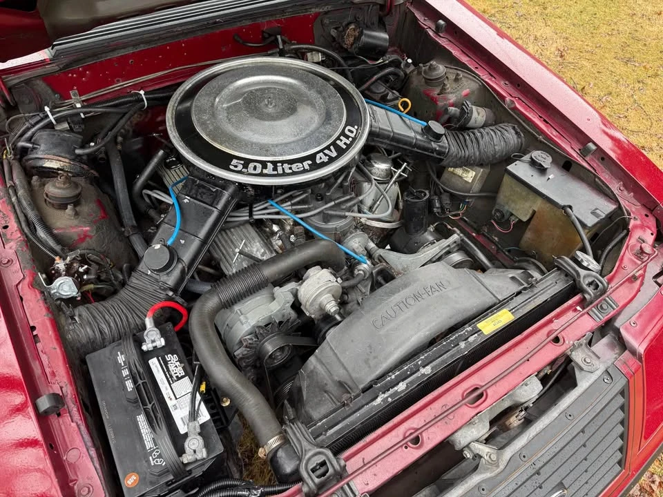 1983 Ford Mustang GT 3rd Gen - Image 19 of 20