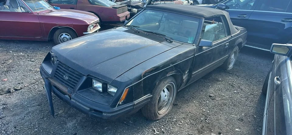 1983 Ford Mustang 3rd Gen - Image 17 of 17