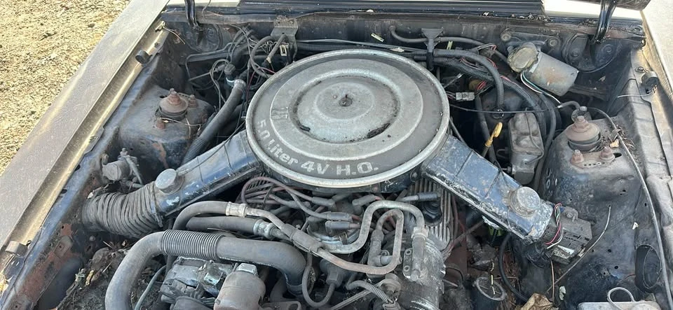 1983 Ford Mustang 3rd Gen - Image 14 of 17
