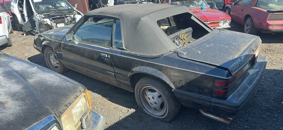 1983 Ford Mustang 3rd Gen - Image 4 of 17