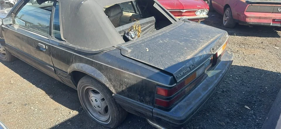 1983 Ford Mustang 3rd Gen - Image 5 of 17