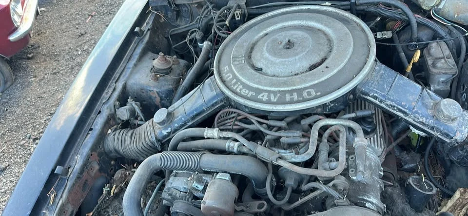 1983 Ford Mustang 3rd Gen - Image 15 of 17