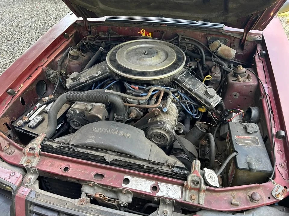 1983 Ford Mustang GT 3rd Gen - Image 5 of 5