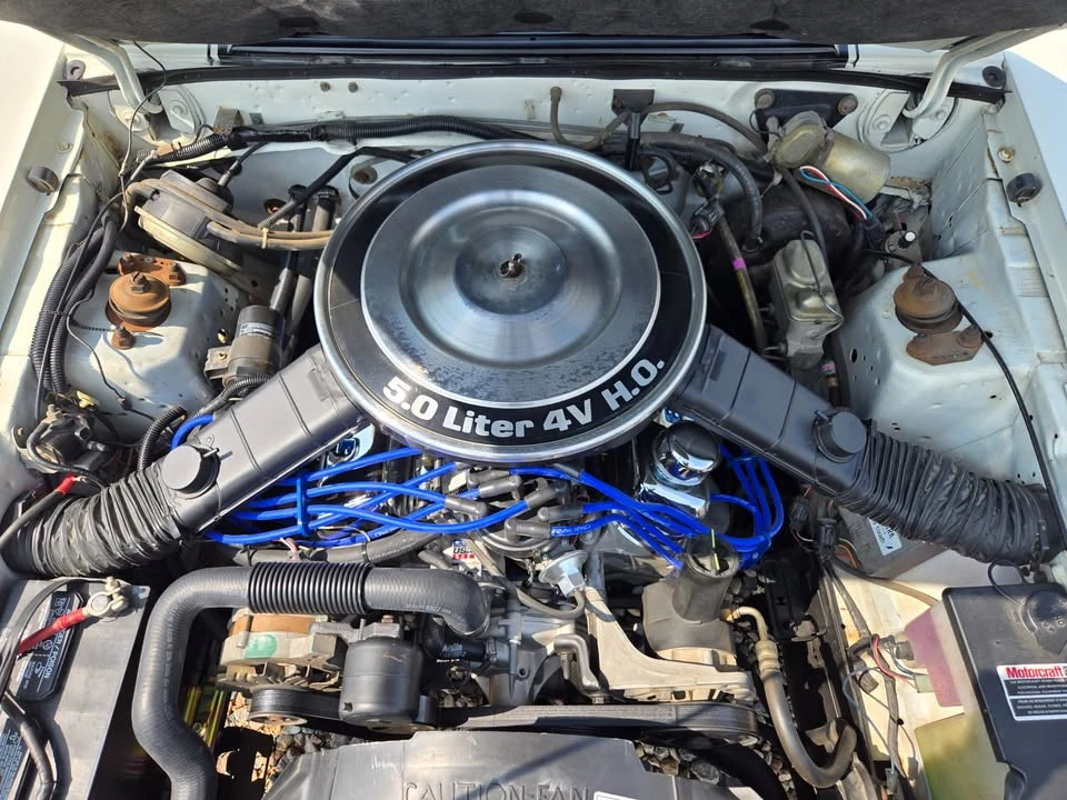1983 Ford Mustang GT 3rd Gen - Image 20 of 20