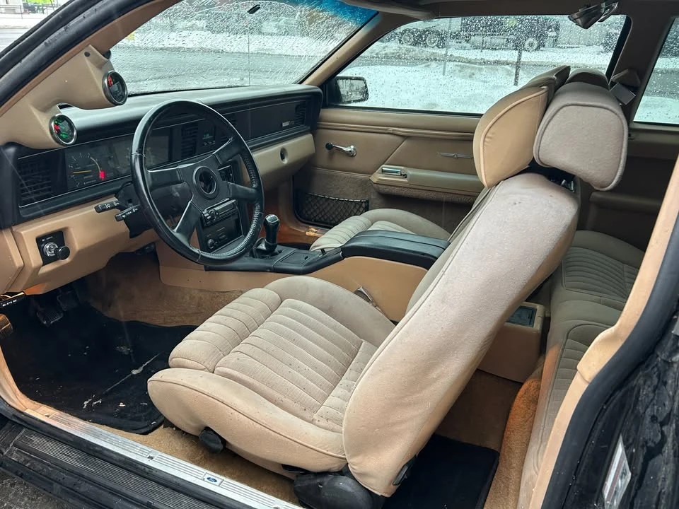 1983 Ford Thunderbird 9th Gen - Image 13 of 17