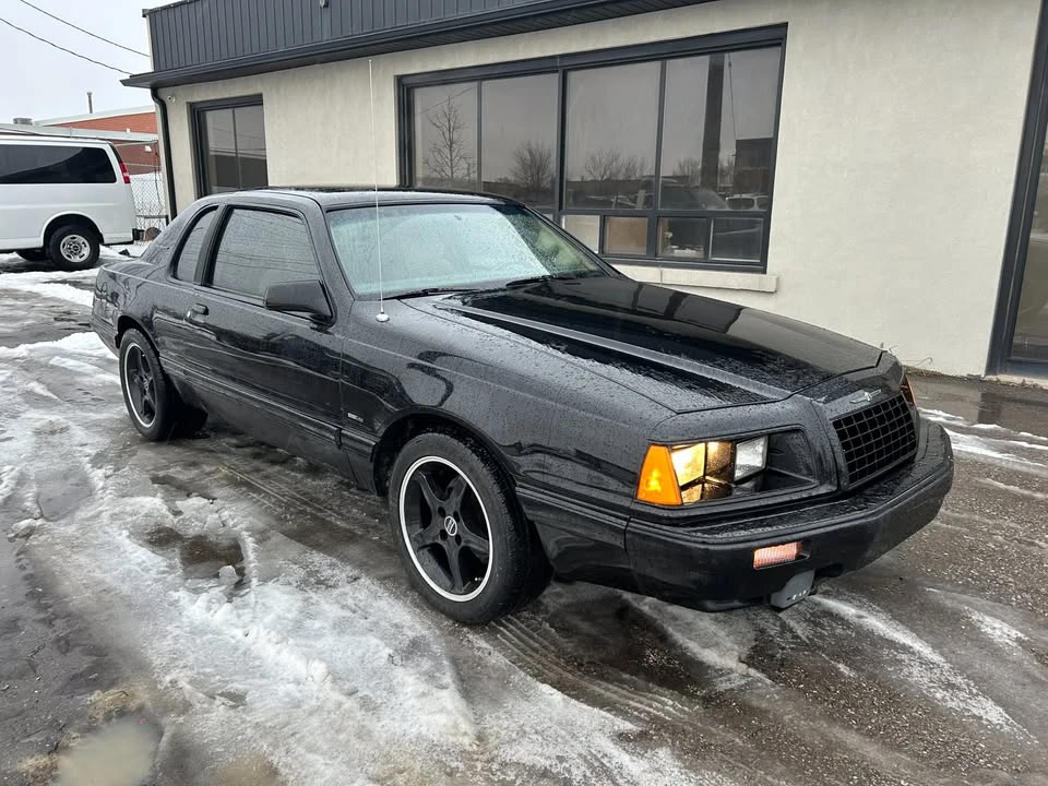 1983 Ford Thunderbird 9th Gen - Image 2 of 17