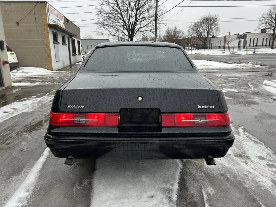 1983 Ford Thunderbird 9th Gen - Image 5 of 17