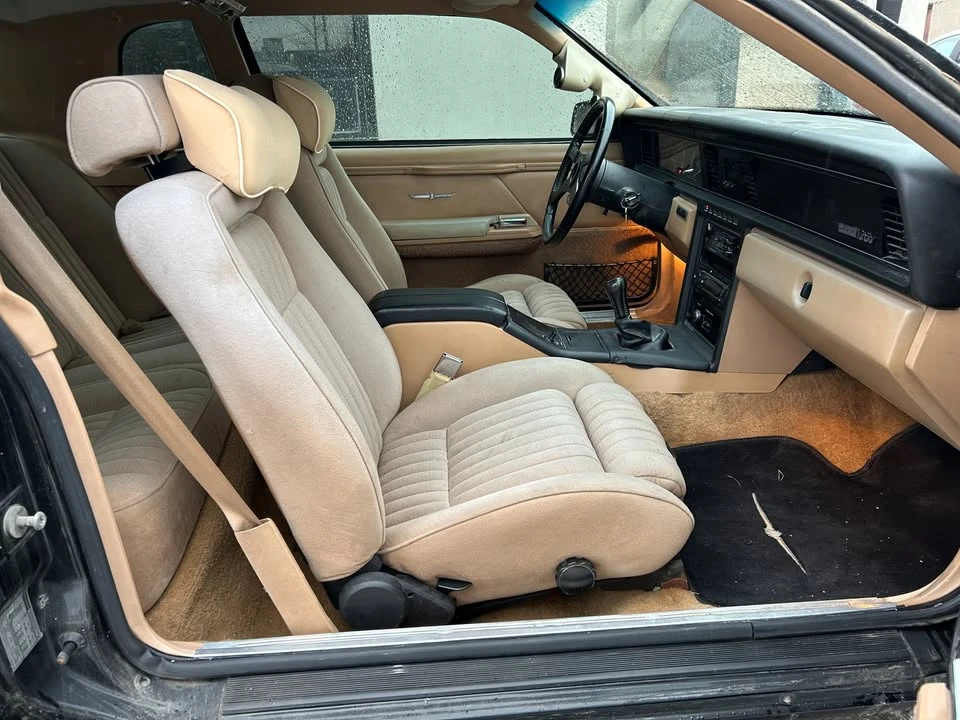 1983 Ford Thunderbird 9th Gen - Image 15 of 17
