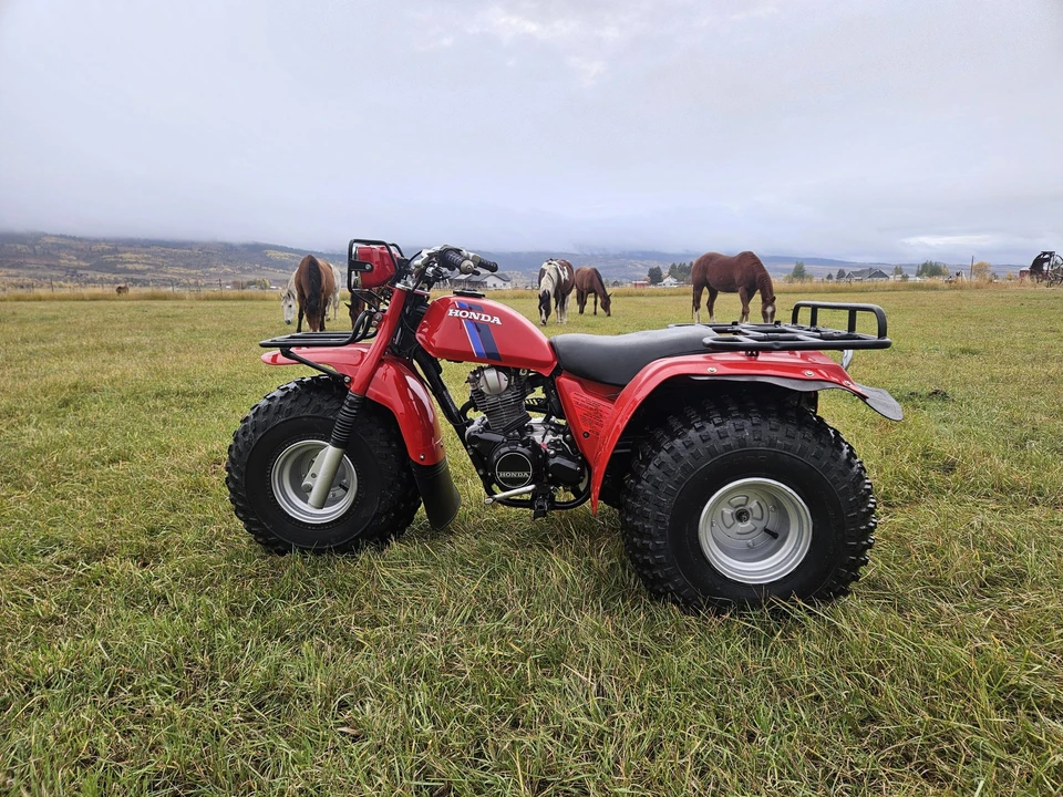 1983 Honda ATV - Image 5 of 31