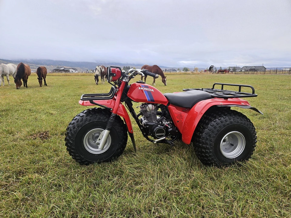 1983 Honda ATV - Image 6 of 31