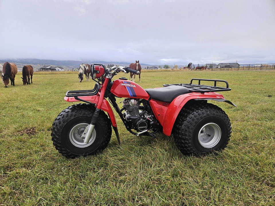 1983 Honda ATV - Image 7 of 31