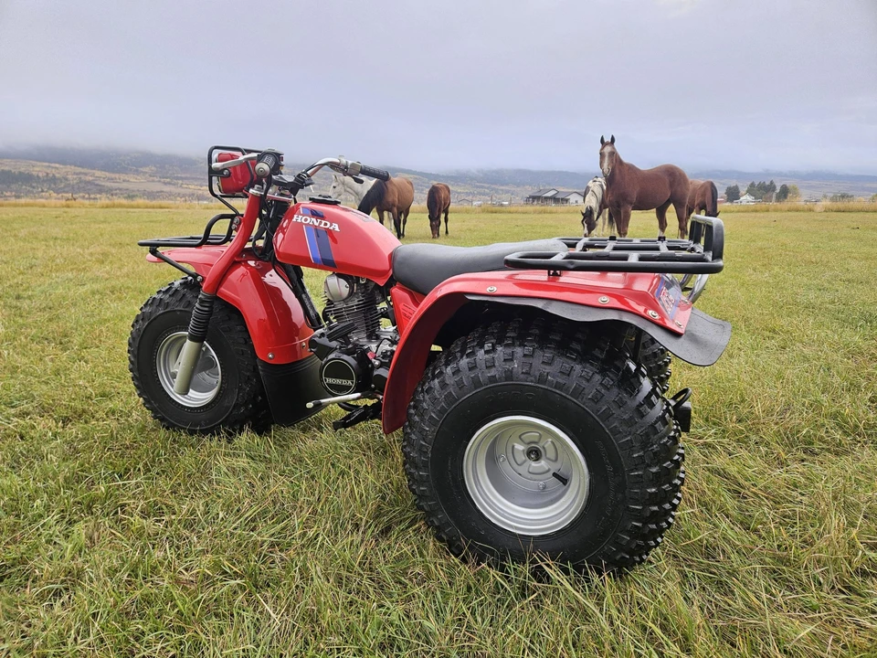1983 Honda ATV - Image 11 of 31
