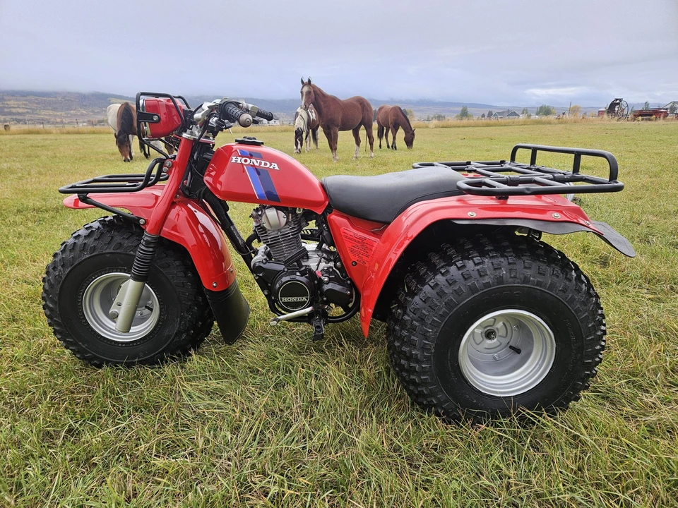 1983 Honda ATV - Image 9 of 31