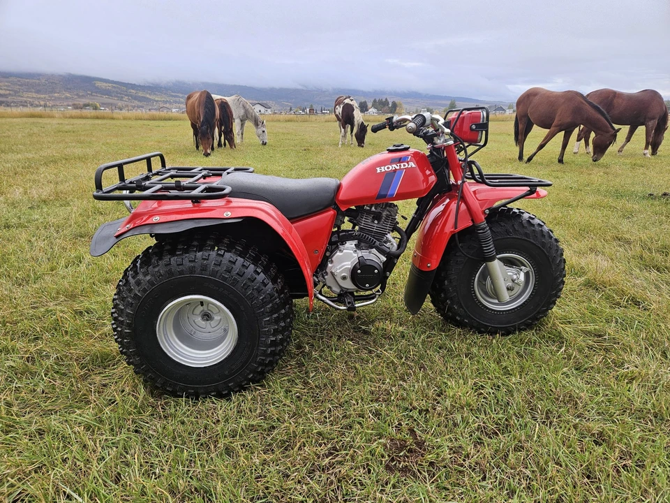 1983 Honda ATV - Image 15 of 31
