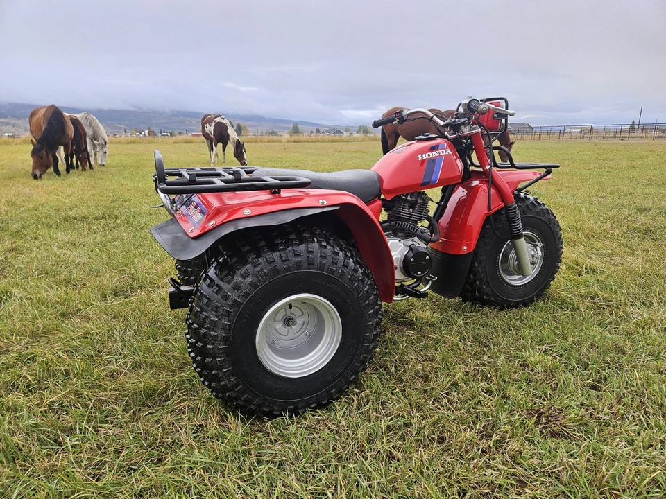 1983 Honda ATV - Image 14 of 31