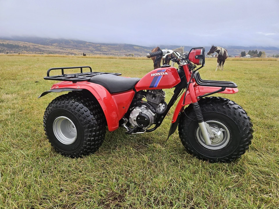1983 Honda ATV - Image 16 of 31