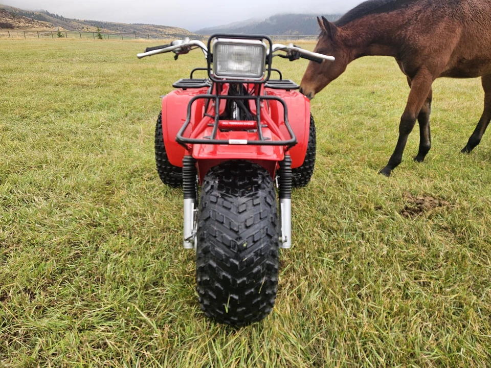 1983 Honda ATV - Image 17 of 31