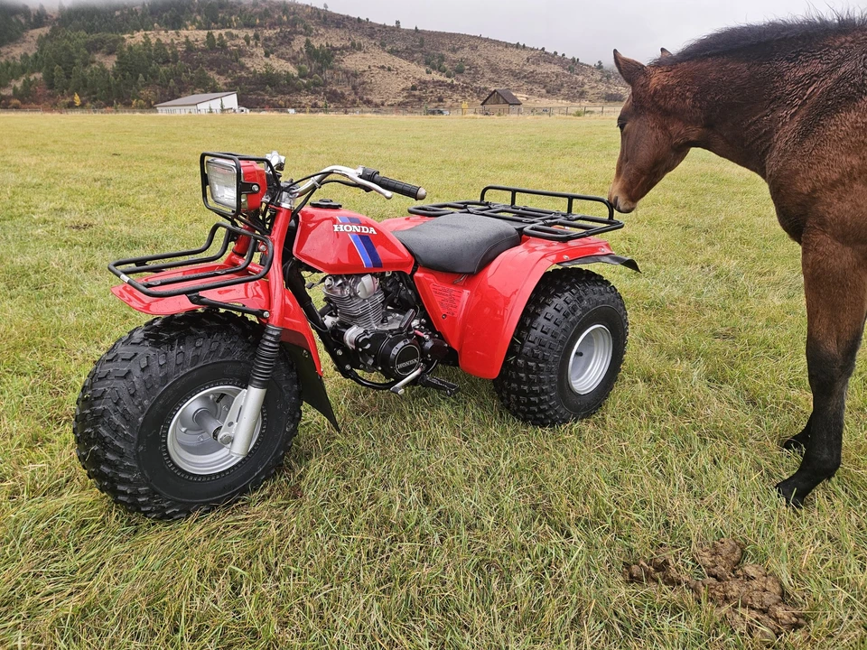 1983 Honda ATV - Image 19 of 31