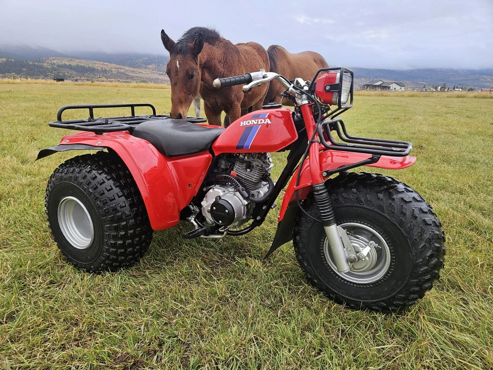 1983 Honda ATV - Image 28 of 31