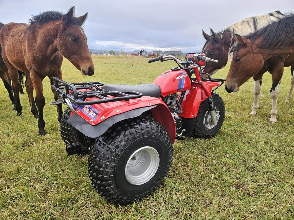 1983 Honda ATV - Image 27 of 31