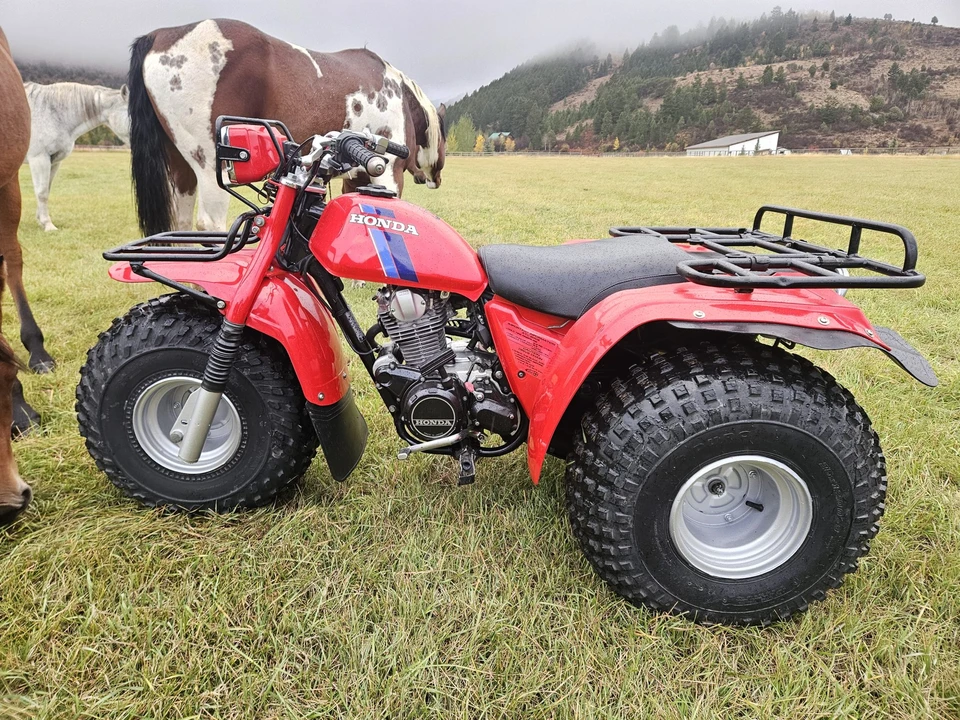 1983 Honda ATV - Image 25 of 31