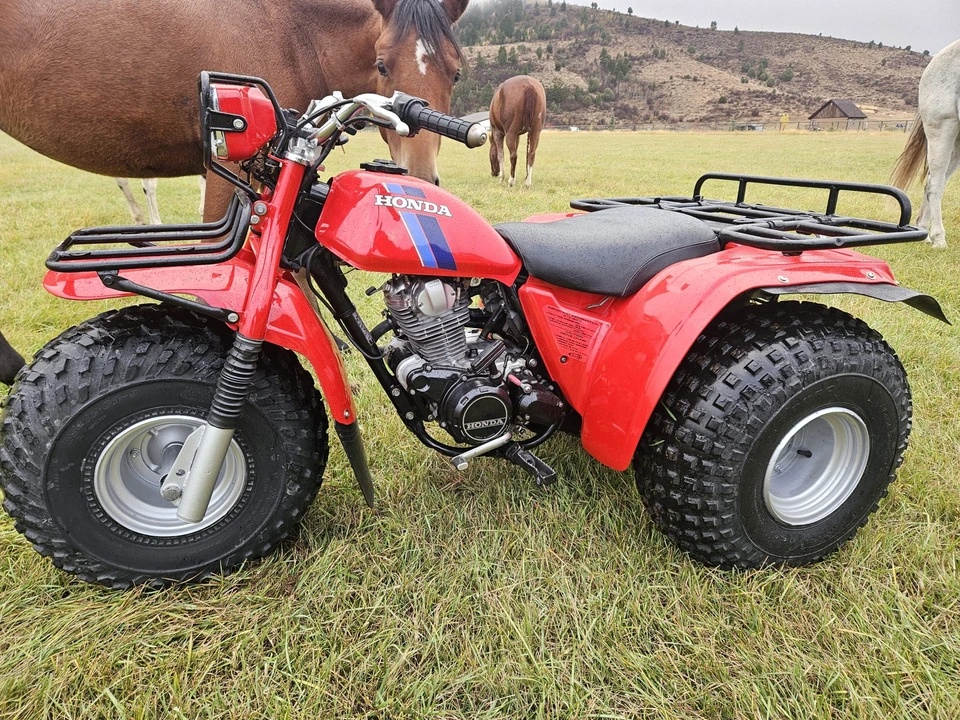 1983 Honda ATV - Image 24 of 31