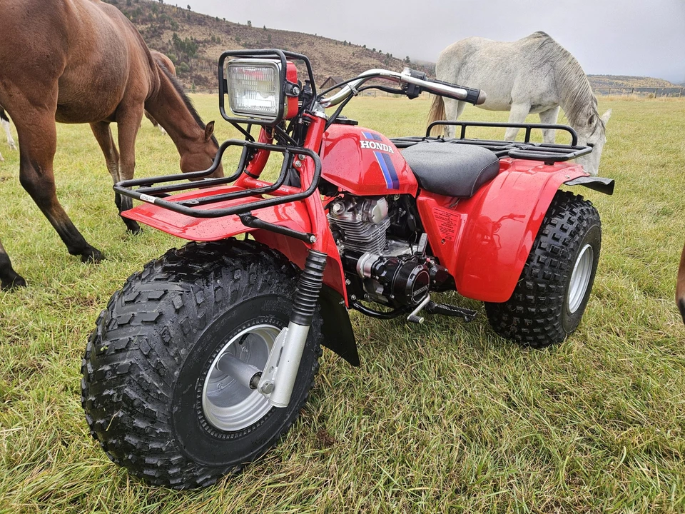 1983 Honda ATV - Image 21 of 31