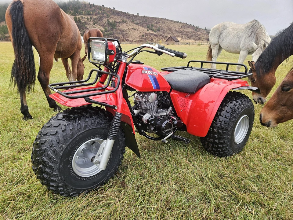 1983 Honda ATV - Image 22 of 31