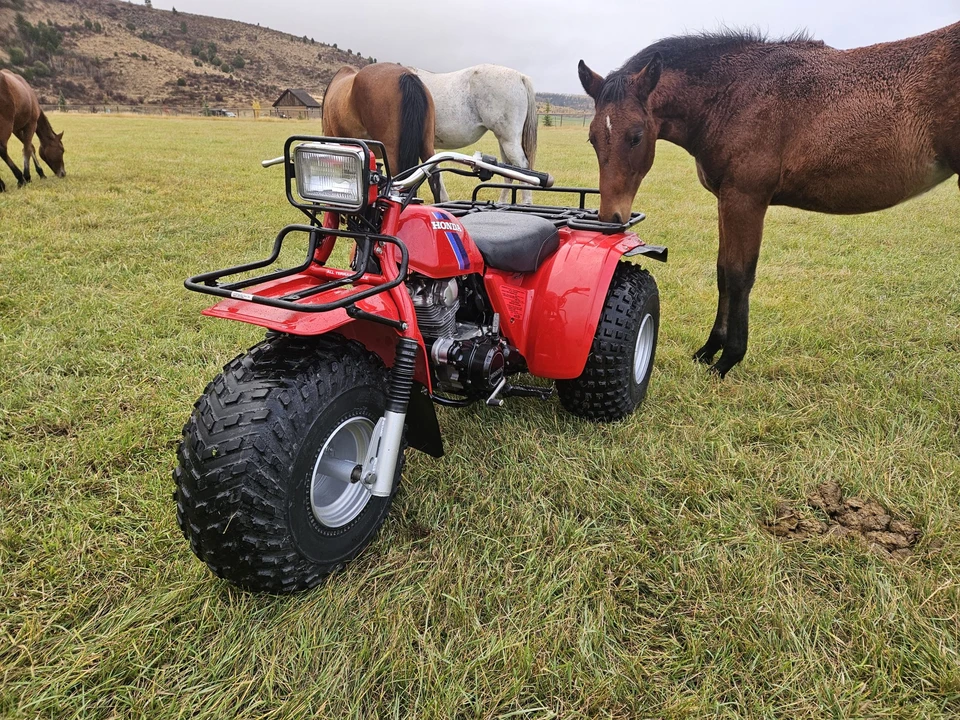 1983 Honda ATV - Image 18 of 31