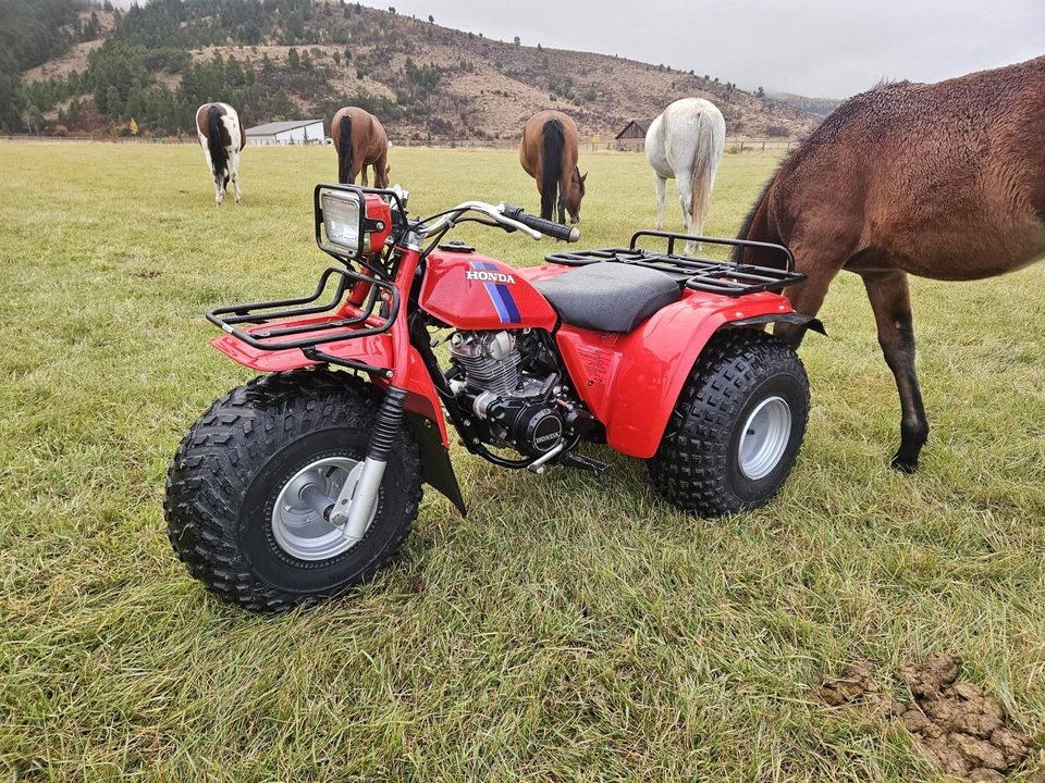 1983 Honda ATV - Image 20 of 31