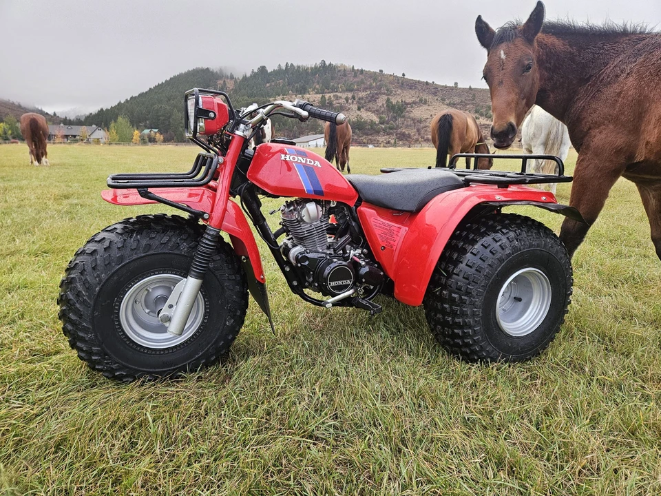 1983 Honda ATV - Image 23 of 31
