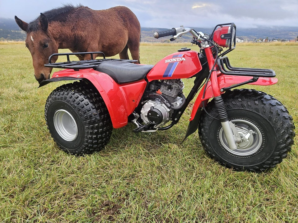 1983 Honda ATV - Image 29 of 31