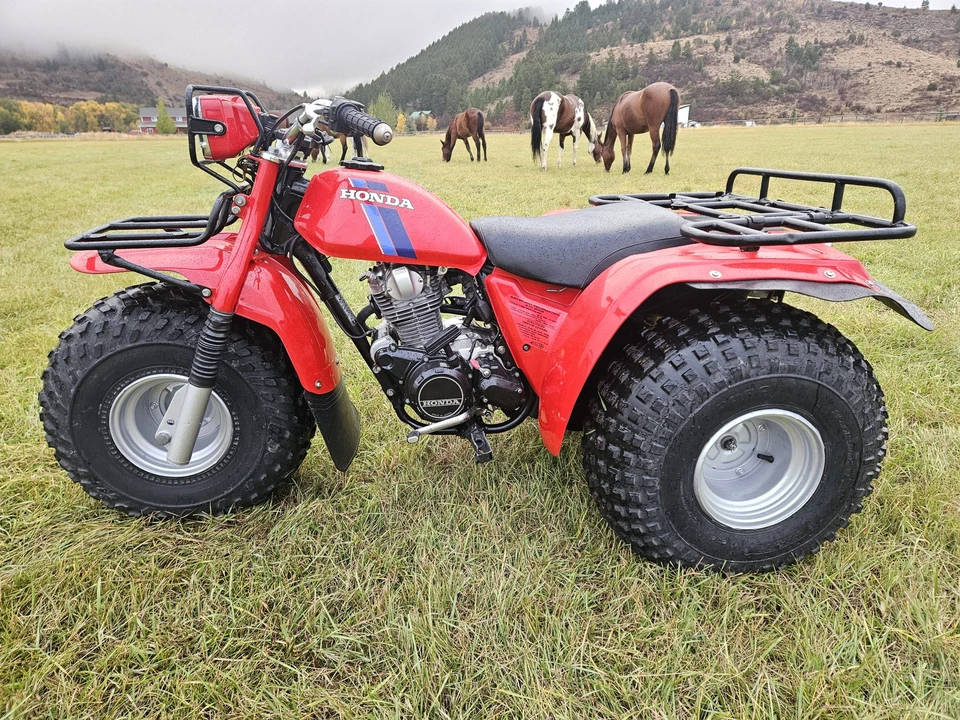 1983 Honda ATV - Image 10 of 31