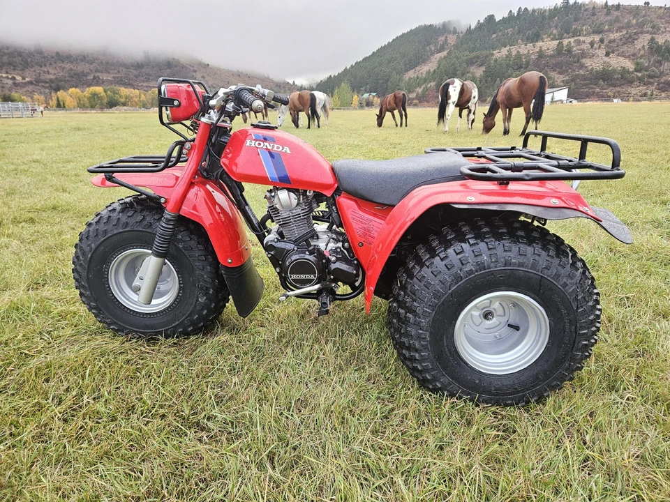 1983 Honda ATV - Image 8 of 31