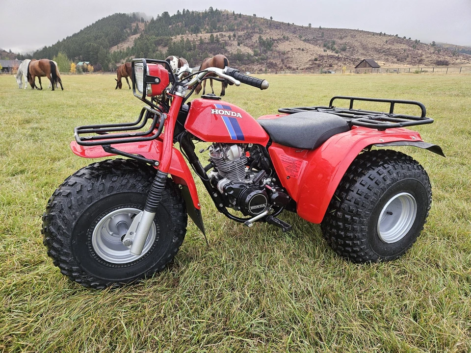 1983 Honda ATV - Image 3 of 31