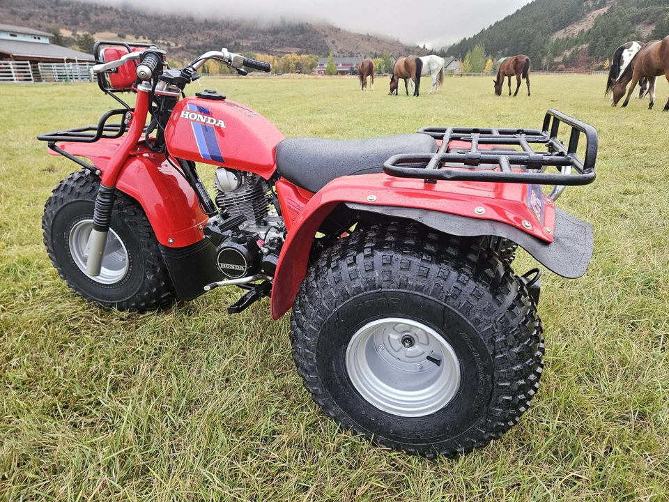 1983 Honda ATV - Image 26 of 31