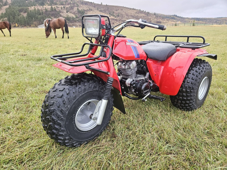 1983 Honda ATV - Image 2 of 31