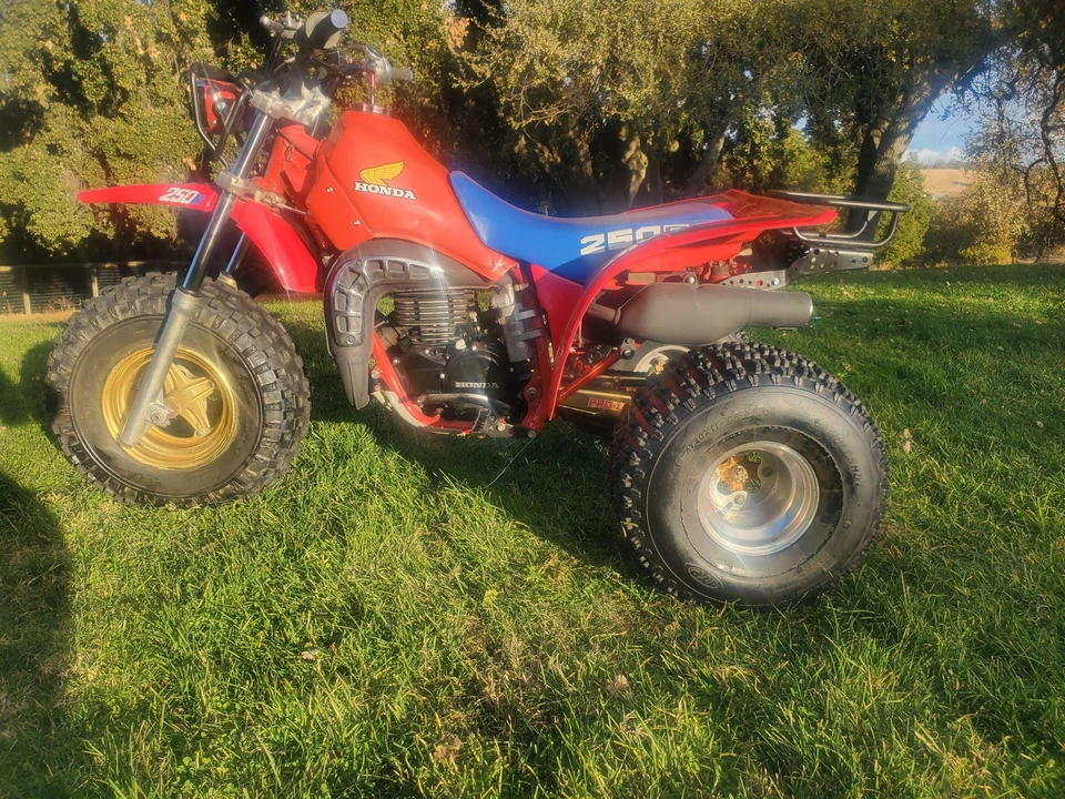1983 Honda ATV - Image 10 of 31