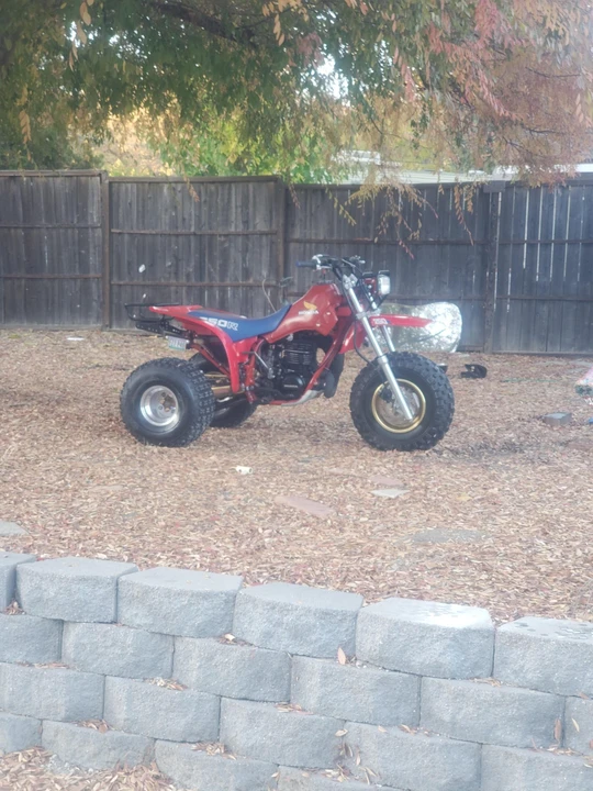 1983 Honda ATV - Image 19 of 31