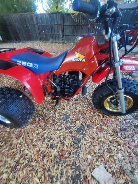1983 Honda ATV - Image 22 of 31
