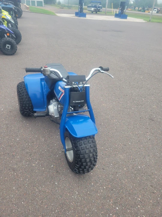 1983 Honda ATV - Image 11 of 31