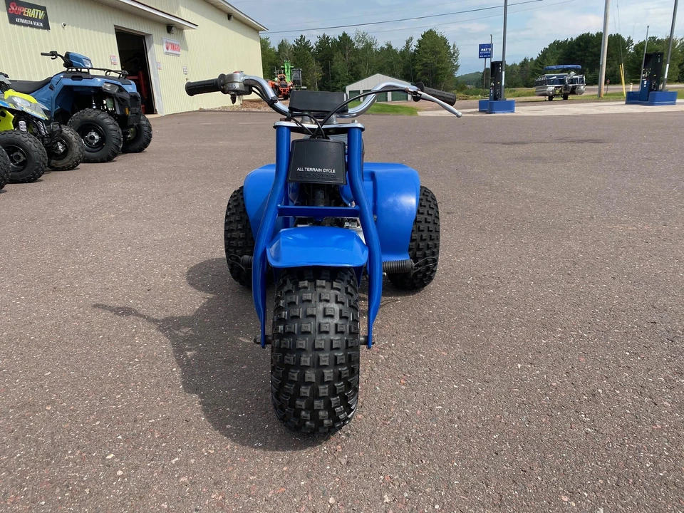 1983 Honda ATV - Image 9 of 31