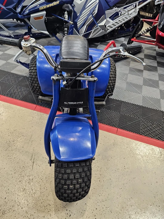 1983 Honda ATV - Image 6 of 31