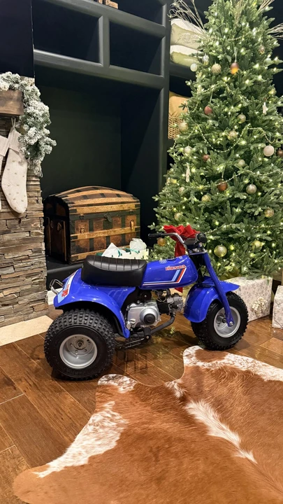 1983 Honda ATV - Image 5 of 31