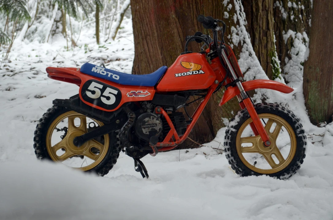 1983 Honda QA50 - Image 14 of 31